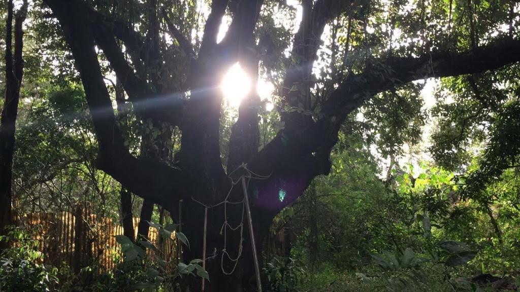 Pousada Chacara Rama Botucatu Exterior foto